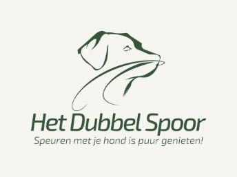 Het dubbel spoor